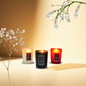 Shab-e-Noor (Oud lemon and motia) Pack of 3